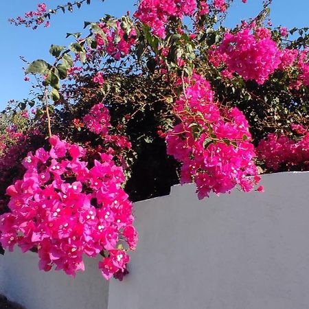 La Casa Del Nonno Bed & Breakfast Milazzo Luaran gambar