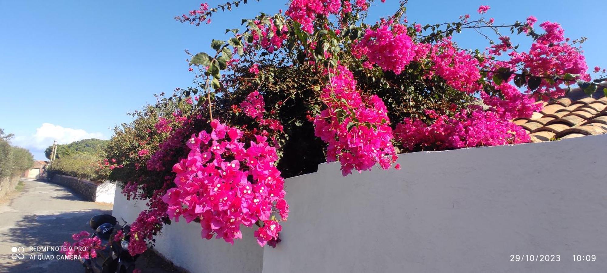 La Casa Del Nonno Bed & Breakfast Milazzo Luaran gambar